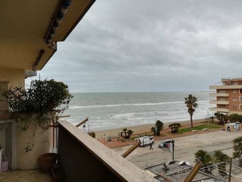 appartamento in affitto a Nettuno