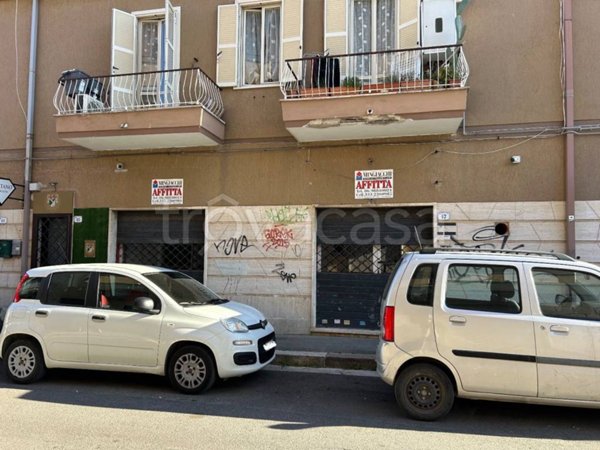 negozio in affitto a Nettuno