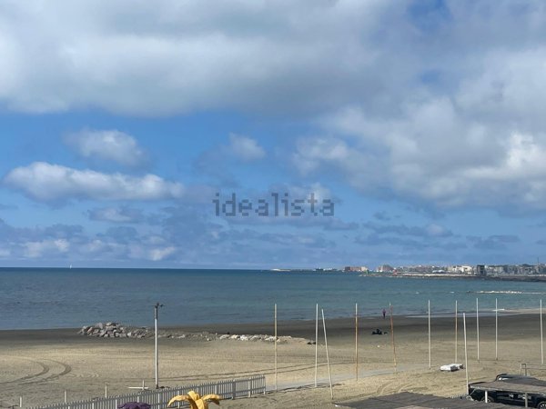 appartamento in affitto a Nettuno