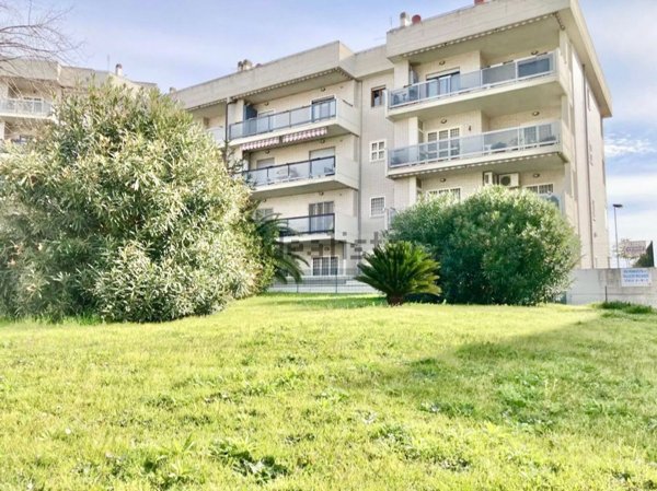 appartamento in affitto a Nettuno