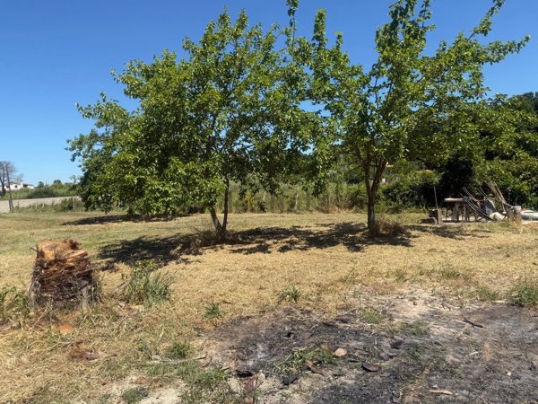 locale di sgombero in affitto a Nettuno