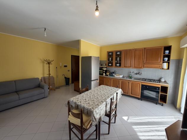 appartamento in affitto a Nettuno