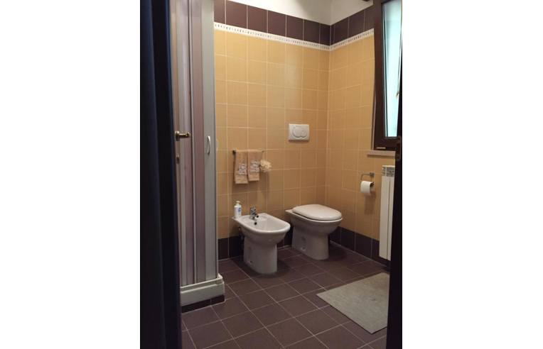 appartamento in affitto a Nettuno