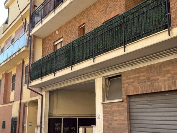 appartamento in affitto a Nettuno