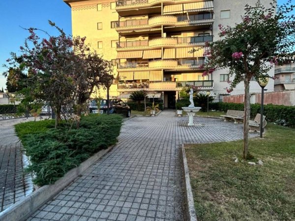 appartamento in affitto a Nettuno
