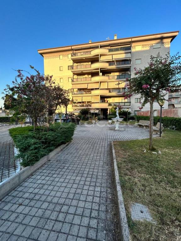 appartamento in affitto a Nettuno