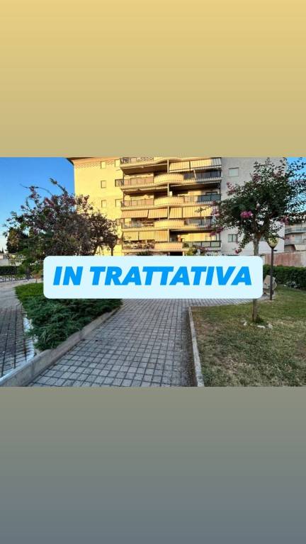 appartamento in affitto a Nettuno