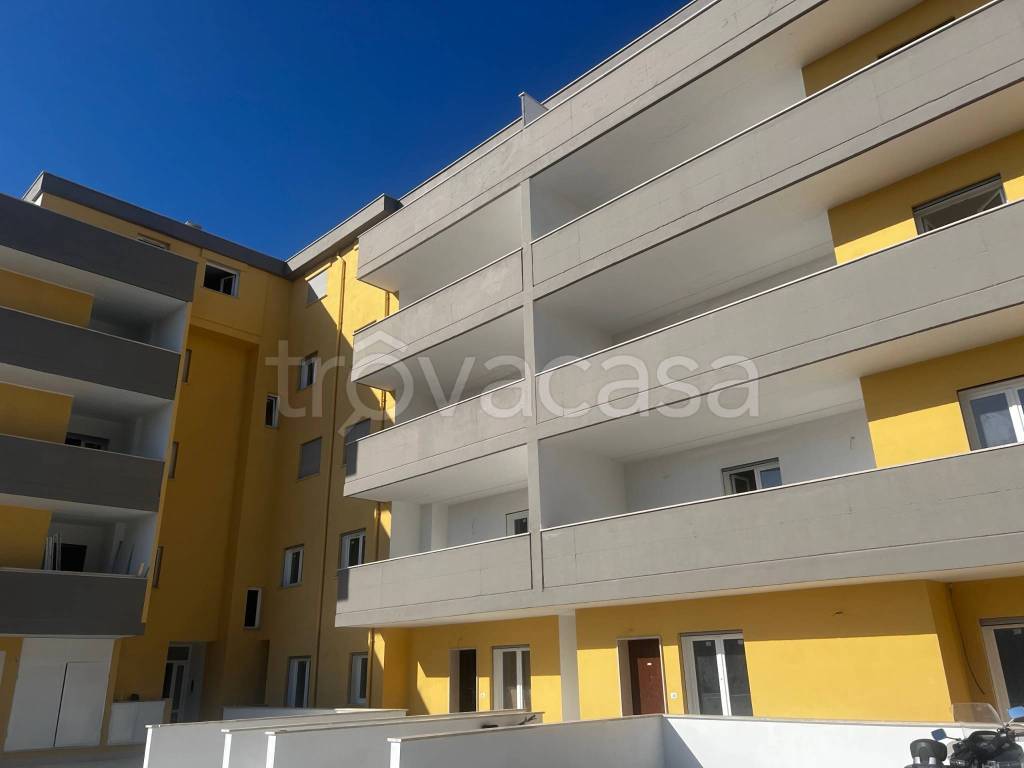 appartamento in affitto a Nettuno
