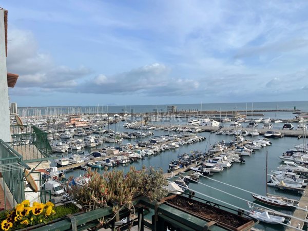 appartamento in affitto a Nettuno