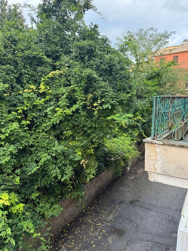 appartamento in affitto a Nettuno