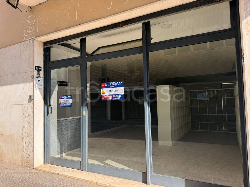 negozio in affitto a Nettuno