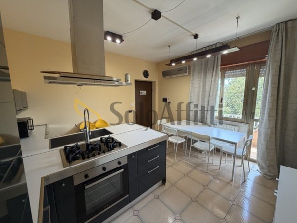 appartamento in affitto a Nettuno