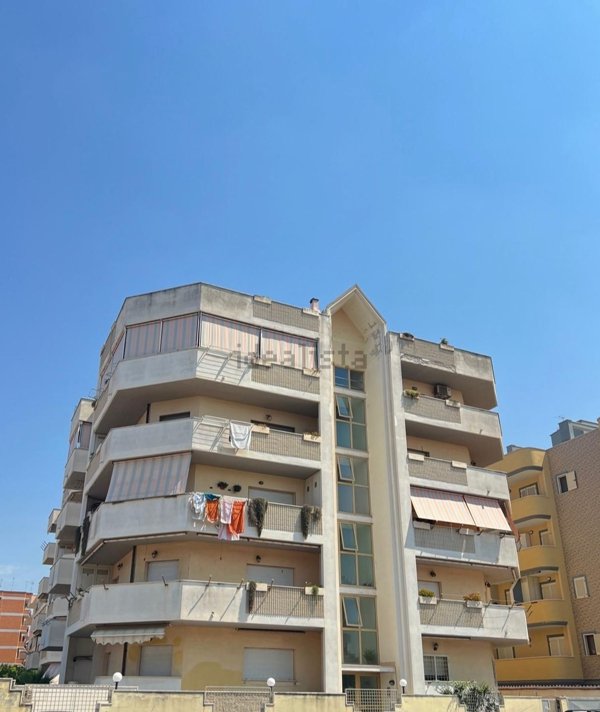 appartamento in affitto a Nettuno