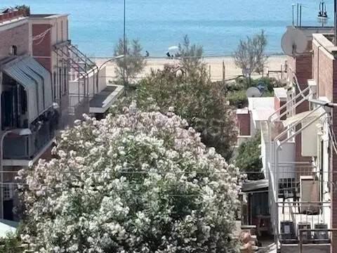 appartamento in affitto a Nettuno
