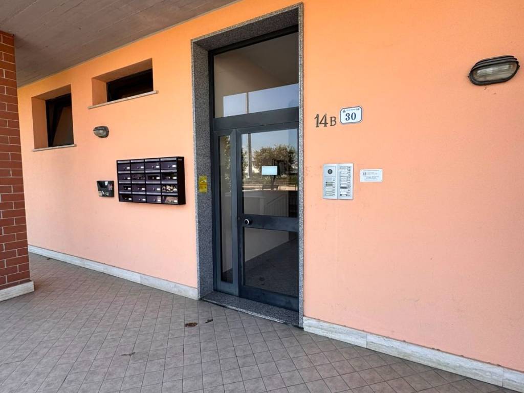 appartamento in affitto a Nettuno