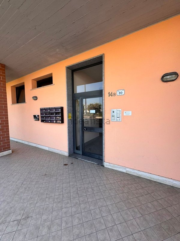 appartamento in affitto a Nettuno