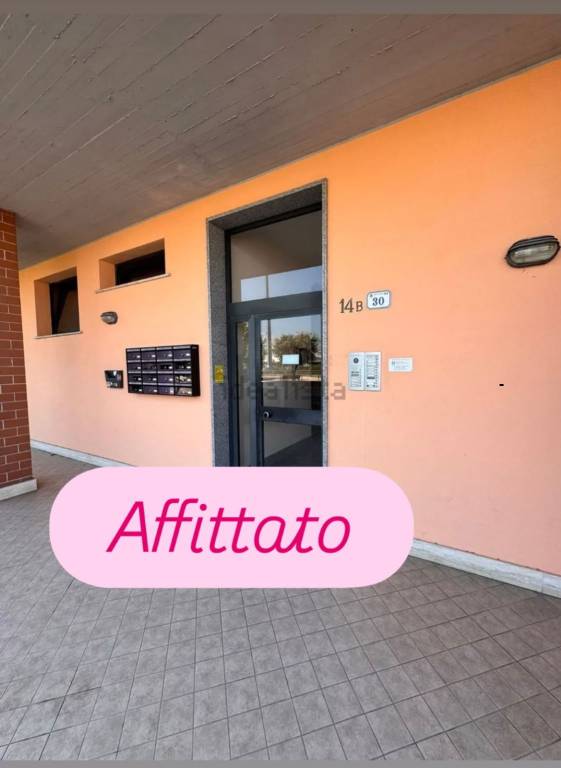 appartamento in affitto a Nettuno