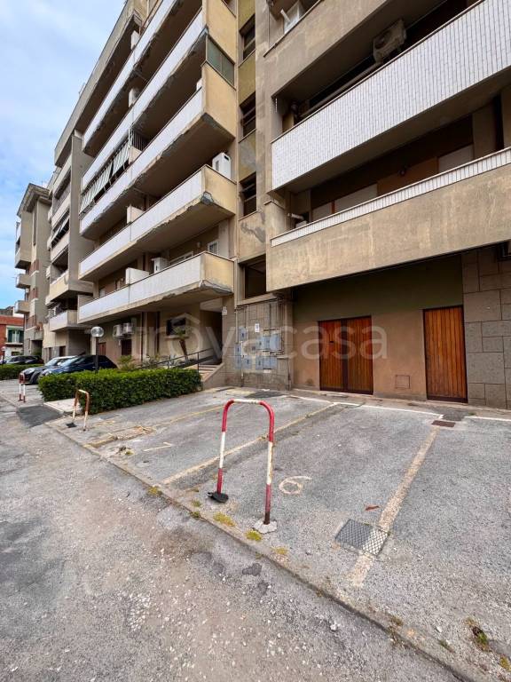 appartamento in affitto a Nettuno
