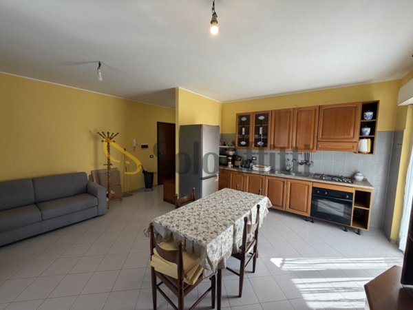 appartamento in affitto a Nettuno