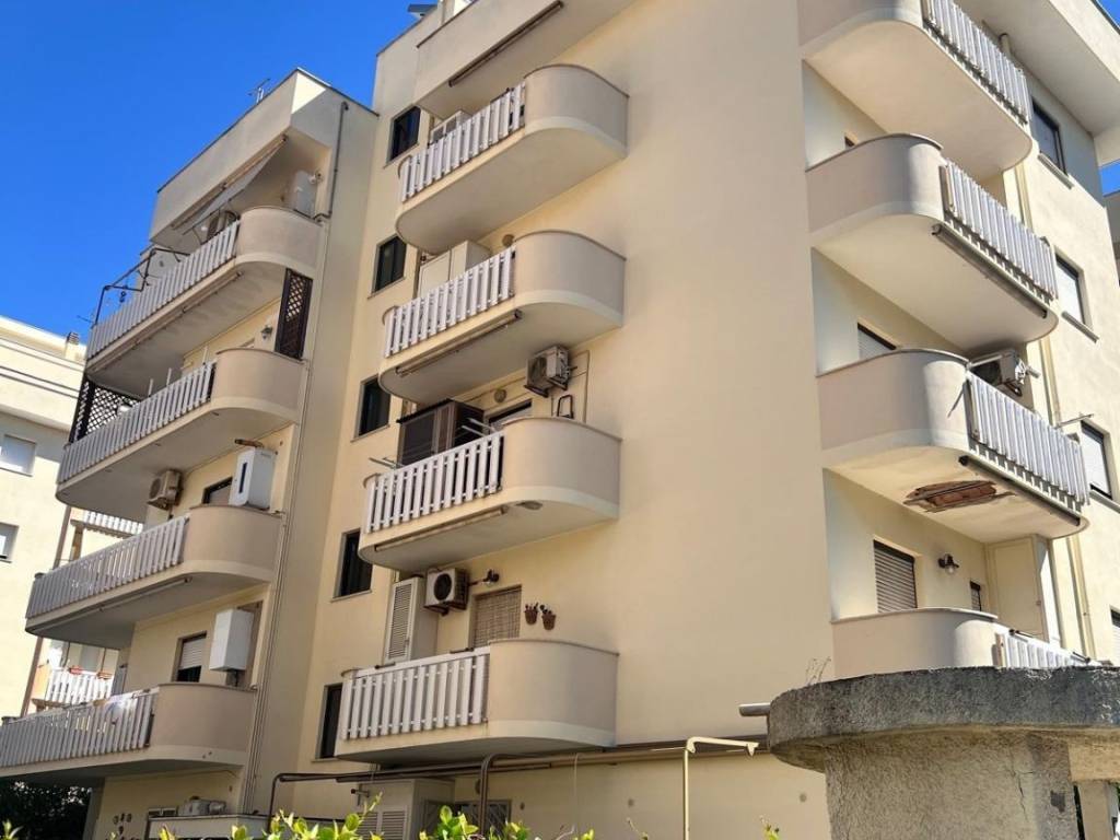 appartamento in affitto a Nettuno