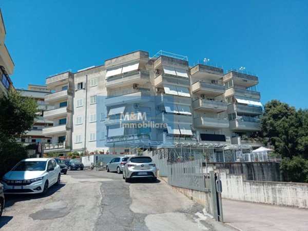 appartamento in affitto a Nettuno
