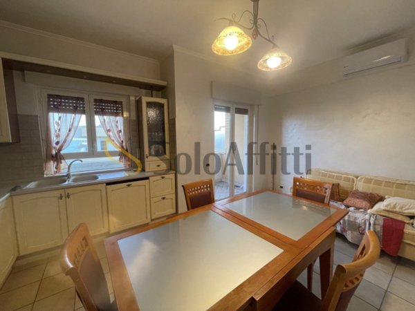 appartamento in affitto a Nettuno