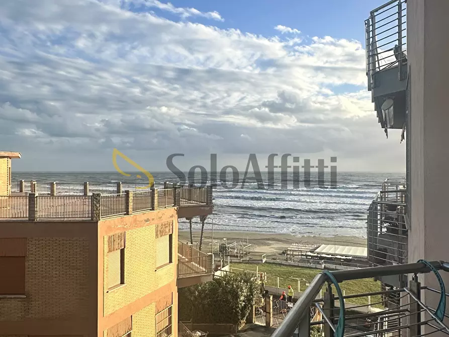 appartamento in affitto a Nettuno