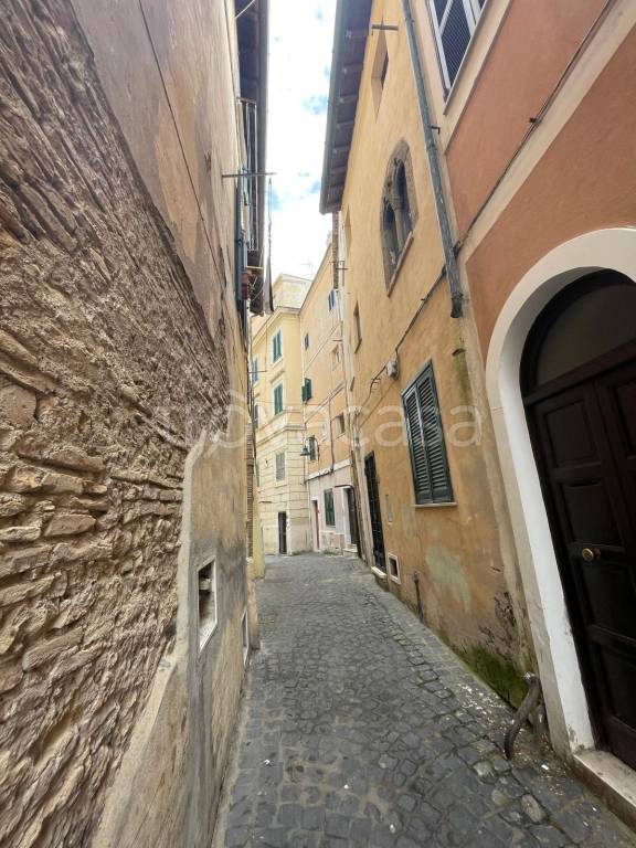 appartamento in affitto a Nettuno