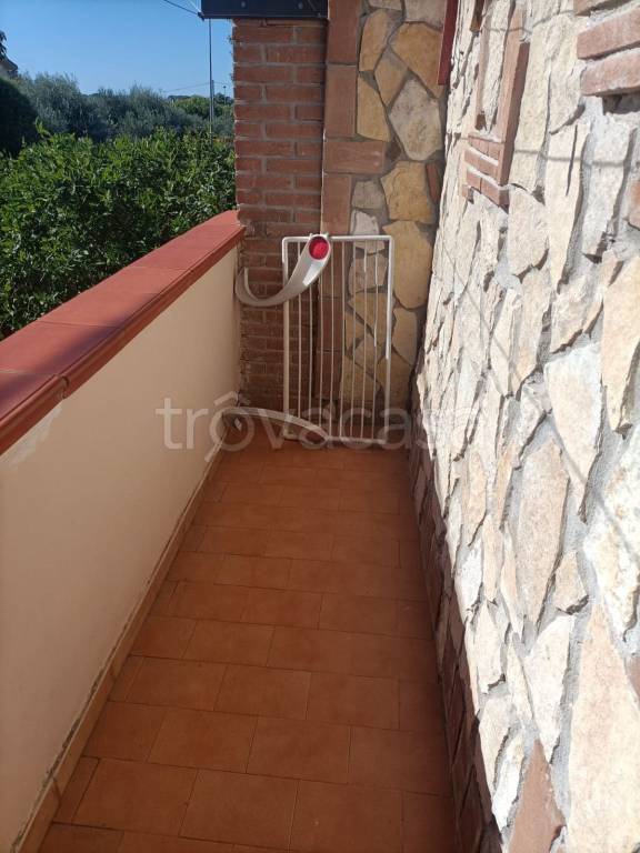 appartamento in affitto a Nettuno