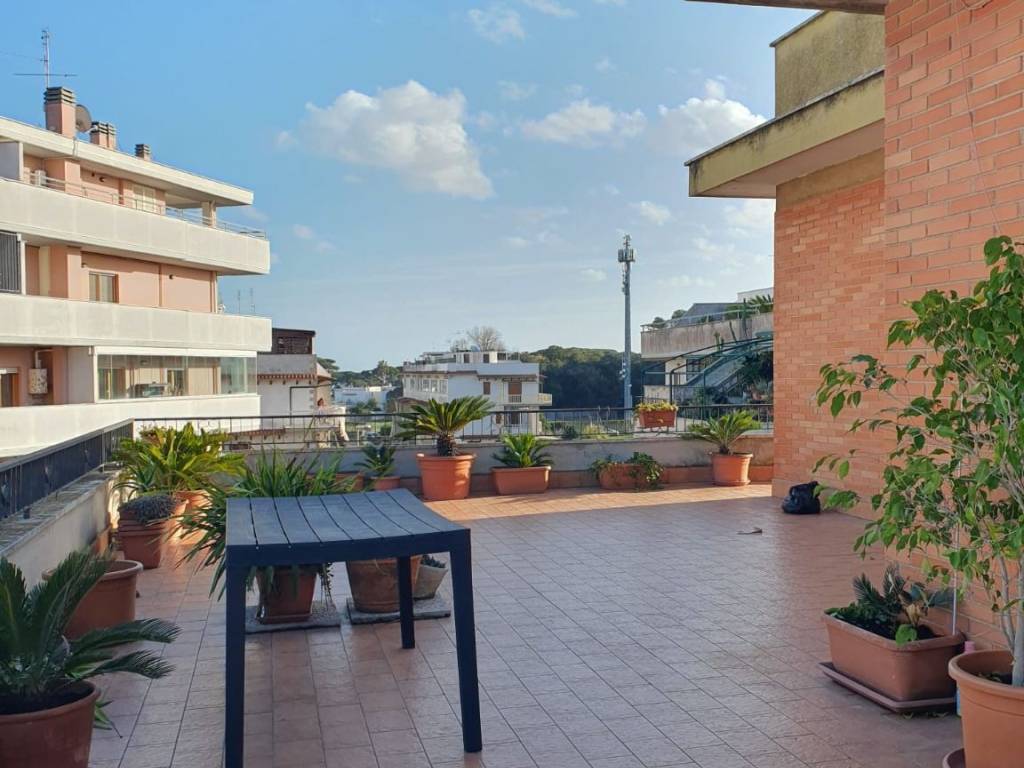 appartamento in affitto a Nettuno
