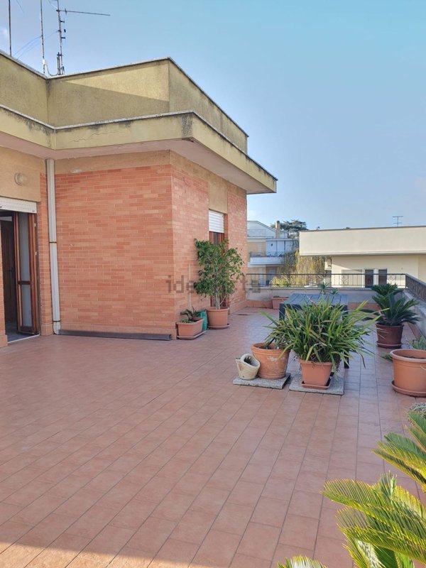 appartamento in affitto a Nettuno