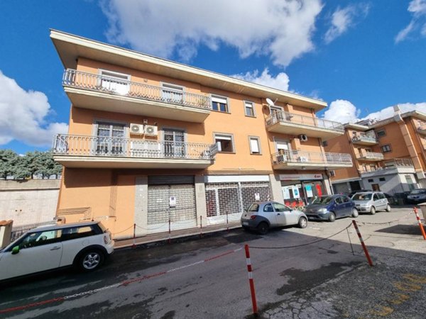 negozio in affitto a Palestrina