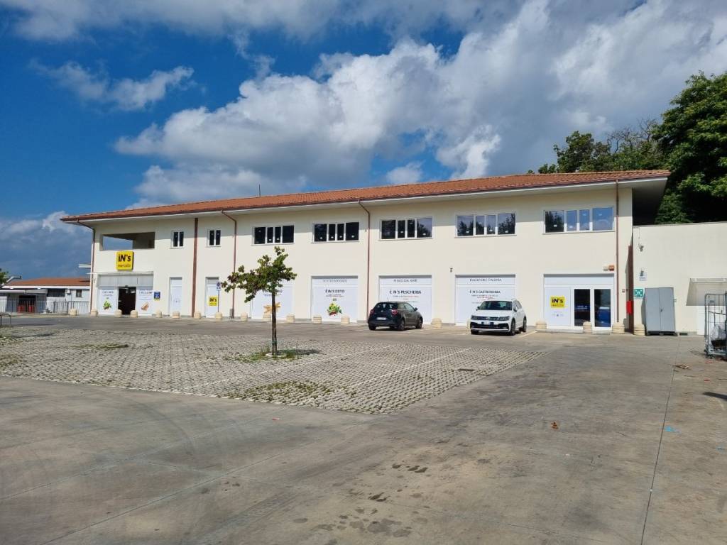 negozio in affitto a Palestrina