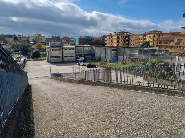 locale commerciale in affitto a Palestrina