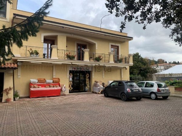 ufficio in affitto a Palestrina