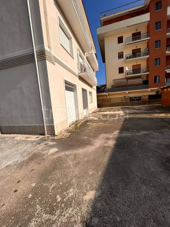 negozio in affitto a Palestrina