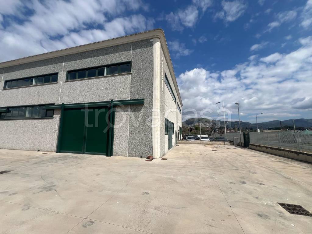 locale commerciale in affitto a Palestrina