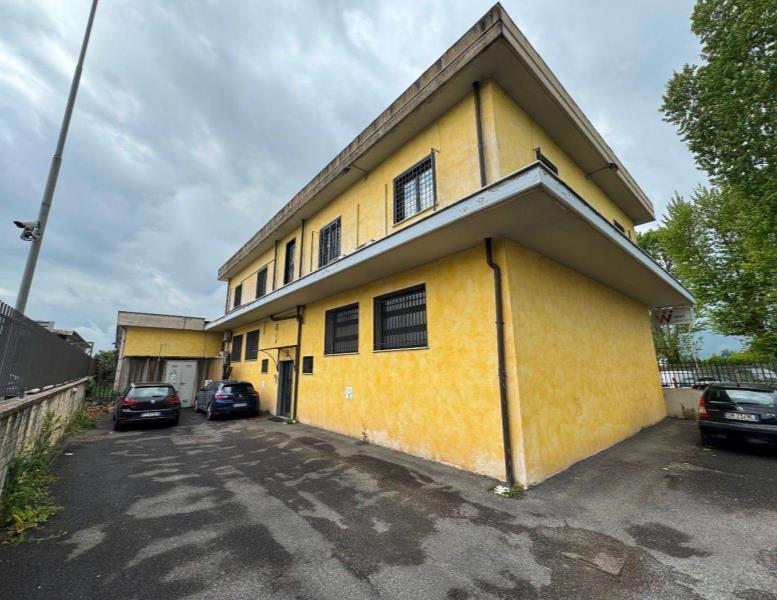 ufficio in affitto a Palestrina