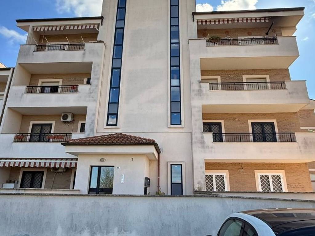 appartamento in affitto a Palestrina