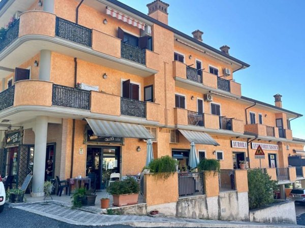 appartamento in affitto a Palestrina