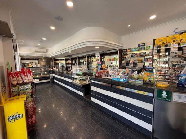 immagine annuncio 0 di 15