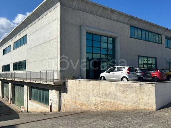 locale commerciale in affitto a Palestrina