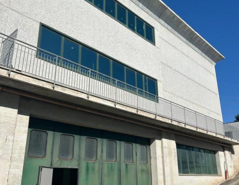 locale commerciale in affitto a Palestrina