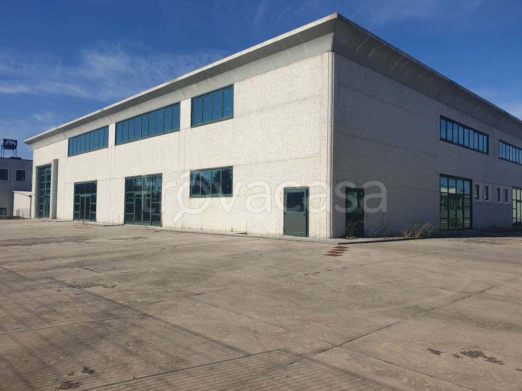 locale commerciale in affitto a Palestrina