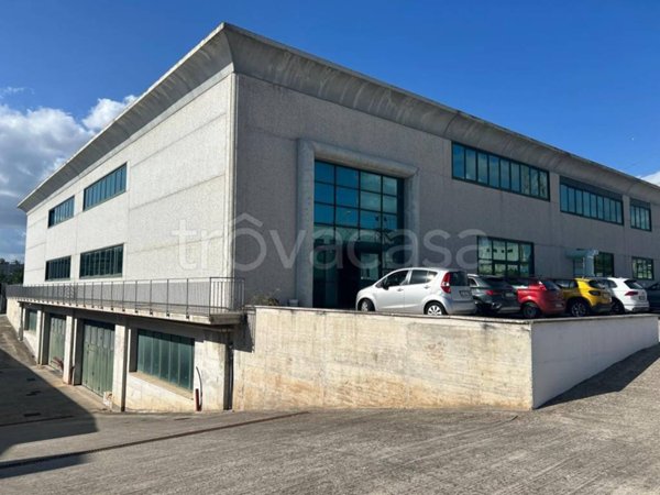 locale commerciale in affitto a Palestrina