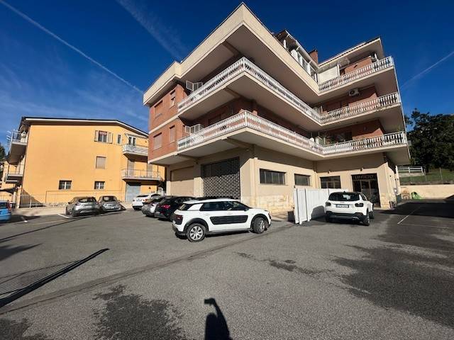 negozio in affitto a Palestrina