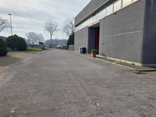 locale commerciale in affitto a Palestrina