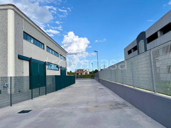 locale commerciale in affitto a Palestrina