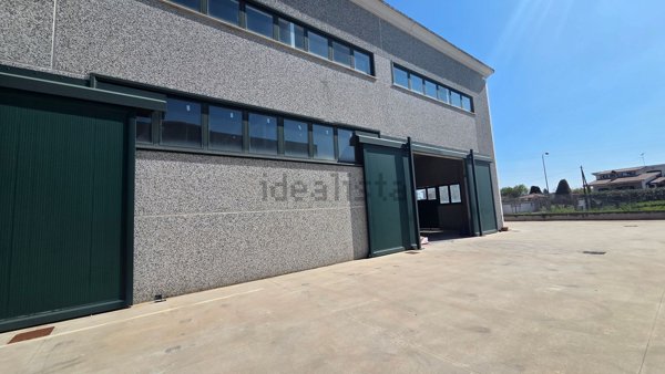 ufficio in affitto a Palestrina