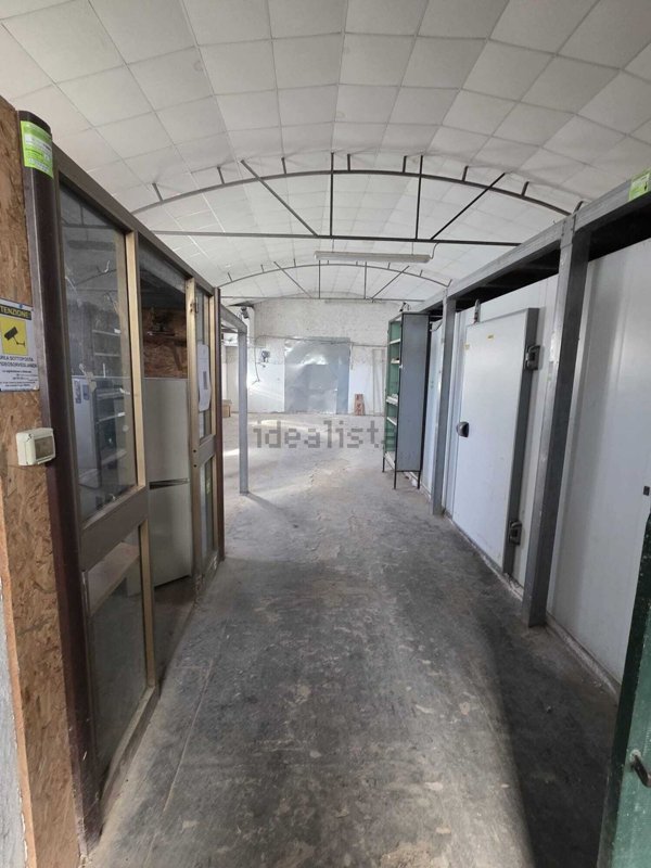 capannone in affitto a Palestrina